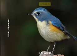 鐢簡杩欎箞澶氬勾界敤閿欎簡